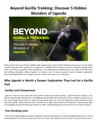Beyond Gorilla Trekking:  Discover 5 Hidden Wonders of Uganda