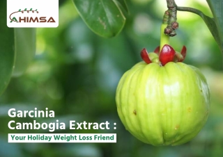Shri Ahimsa Garcinia Cambogia Extract Your Holiday Weight Loss Friend