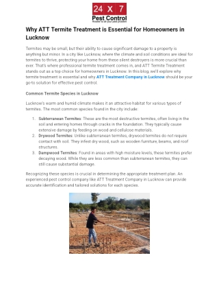 Why ATT Termite Treatment is Essential for Homeowners in Lucknow