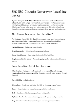BNS NEO Classic Destroyer Leveling Guide