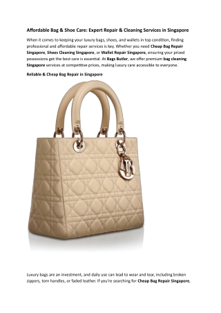 Affordable Bag  Shoe Care Expert Repair Cleaning Services in Singapore