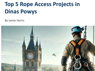 Jamie Harris - Top 10 Rope Access Projects in Dinas Powys