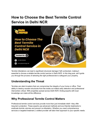 How to Choose the Best Termite Control Service in Delhi NCR
