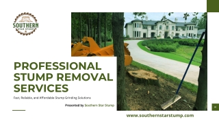 Why Stump Removal is Essential for Your Landscape