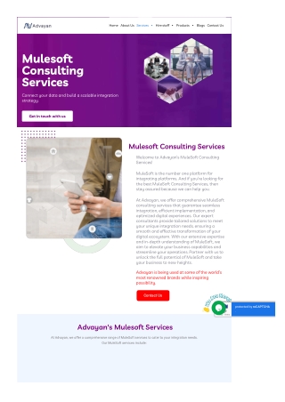 Mulesoft Consulting Company