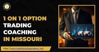 Personalized 1 on 1 Option Trading Coaching in New Mexico - Wealth Building Acad