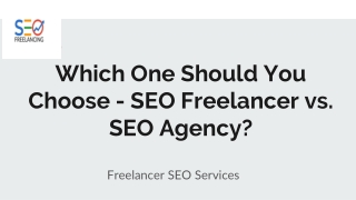 Which One Should You Choose - SEO Freelancer vs. SEO Agency_