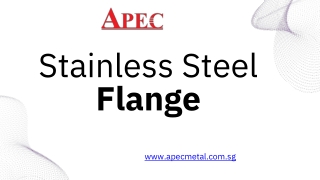 Stainless Steel Flange - apecmetal.com.sg