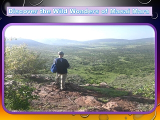 Discover the Wild Wonders of Masai Mara