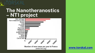 The Nanotheranostics – NT1 project