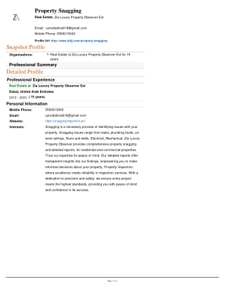 property-snagging