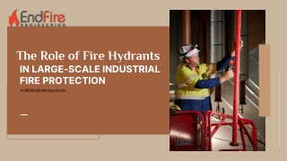 The Role of Fire Hydrants in Large-Scale Industrial Fire Protection