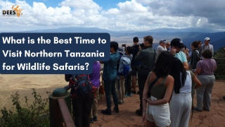 What is the Best Time to Visit Northern Tanzania for Wildlife Safaris
