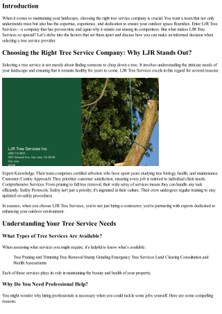 Choosing the Right Tree Service Company: Why LJR Stands Out?