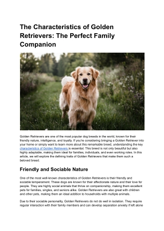 The Adorable Dog Mini Poodle: A Perfect Companion for Every Home