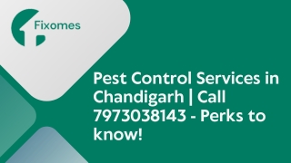 Pest Control Services in Chandigarh  Call 7973038143 - Perks to know!
