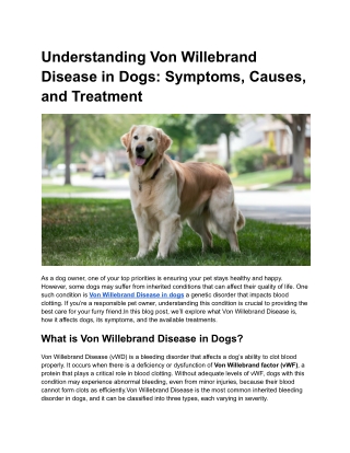 Understanding Von Willebrand Disease in Dogs_ Symptoms, Causes, and Treatment