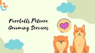 Services by Furrballs Petcare Grooming services