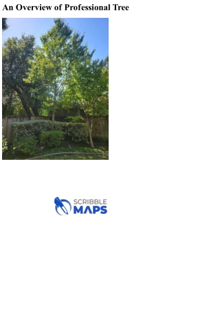 An Overview of Professional Tree Trimming by LJR