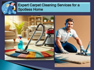 Expert Carpet Cleaning Services for a Spotless Home