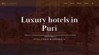 Luxury Hotels in Puri