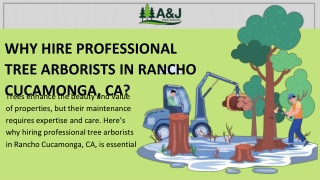 Why Hire Professional Tree Arborists In Rancho Cucamonga, CA_ - A&J Tree Service