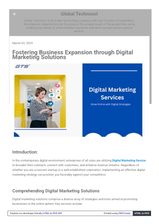 Fostering Business Expansion through Digital Marketing Solutions