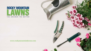 Rocky Mountain Lawns