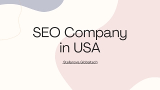 Top SEO Company in USA | Stellanova Globaltech Pvt Ltd