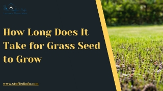 How Long Does It Take for Grass Seed to Grow