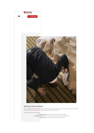Bed Bug Treatment Adelaide - Best Pest Control Adelaide