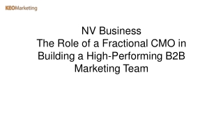 The Role of a Fractional CMO in Building a High-Performing B2B Marketing Team
