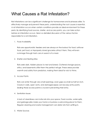 What Causes a Rat Infestation