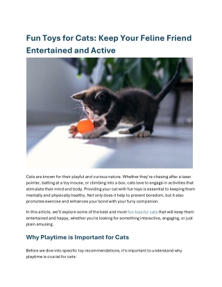 fun toys for cat