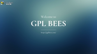 WordPress GPL Themes – Premium Designs at Unbeatable Prices
