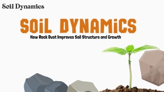 How Rock Dust Improves Soil Structure and Growth