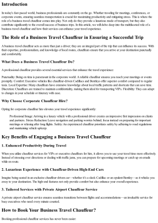 The Role of a Business Travel Chauffeur in Ensuring a Successful Trip