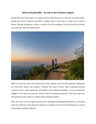 Birds of Nandi Hills – An ode to the Feathery Angels