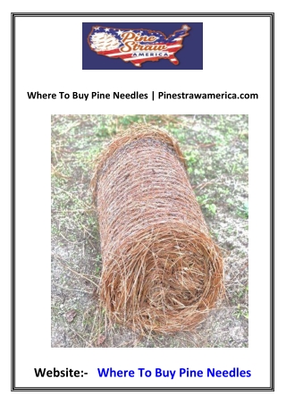 Where To Buy Pine Needles Pinestrawamerica.com