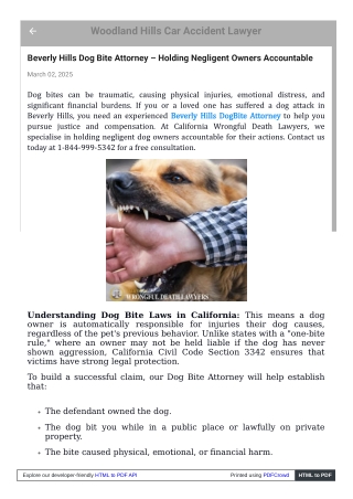 Beverly Hills Dog Bite Attorney – Holding Negligent Owners Accountable