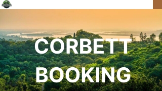 Experience the Wild Wonders of Corbett Jungle Safari