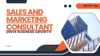 Sales and Marketing Consultant