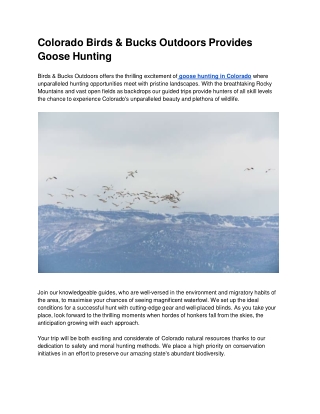 Colorado Birds & Bucks Outdoors Provides Goose Hunting