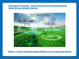 Precision Farming - How Drones Are Revolutionizing Data-Driven Weed Control