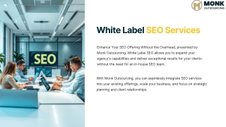 Elevate Your Agency with White Label SEO Services