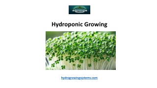 Hydroponic Growing