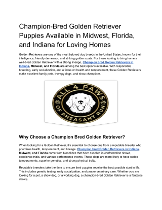 Champion-Bred Golden Retriever Puppies Available in Midwest, Florida, and Indiana for Loving Homes