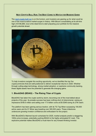 Next Crypto Bull Run: The Best Coins to Watch for Massive Gains