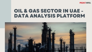 Oil & Gas Sector in UAE | Data Analysis Platform