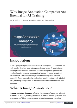 Why Image Annotation Companies Are Essential for AI Training